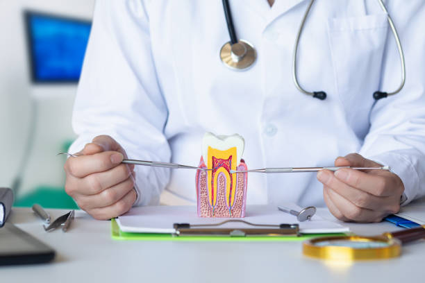 Best Cracked Tooth Emergency Dentist  in Sunset, FL